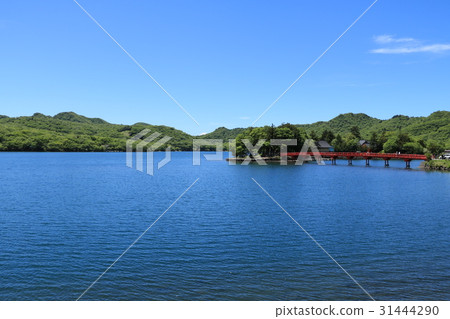 赤城大沼 31444290