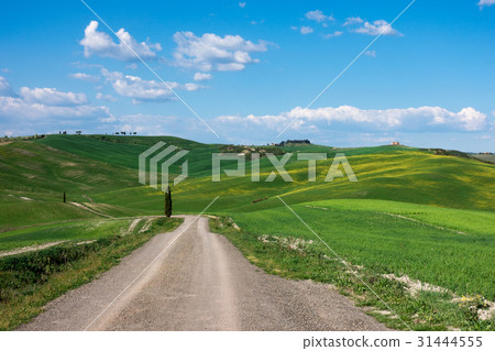 country road through the hills 31444555