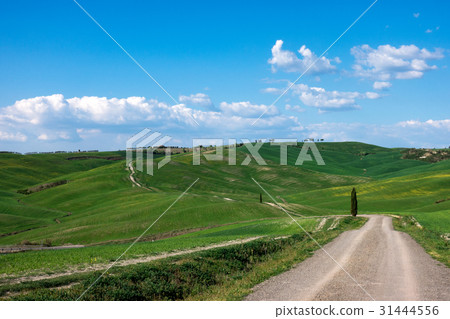 country road through the hills 31444556