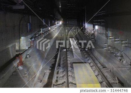the Monorail passing though the tunnel 31444746