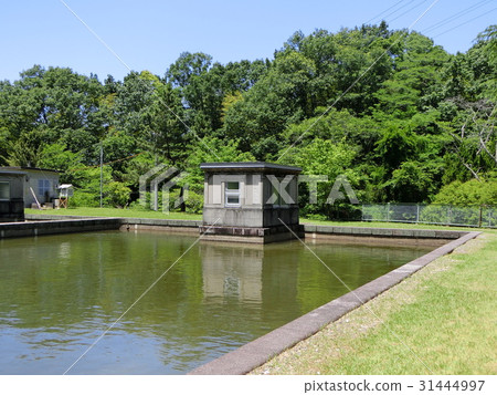 Early summer of Magagashiro water purification plant 31444997