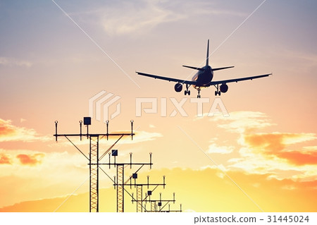 Airplane landing at the sunset 31445024