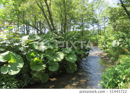 Kitamane Room Lunch Way / Arakawa 2016·夏季 31445722