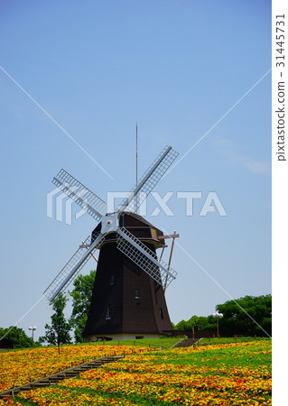 風車山（鶴見綠園） 31445731