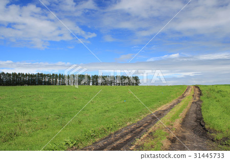 Kita Nemuro午餐路·2016·夏天 31445733