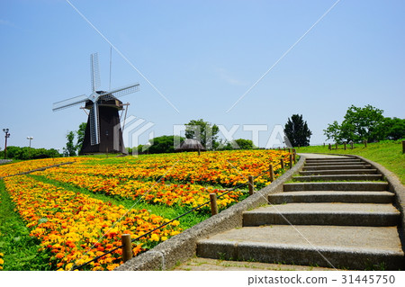 風車山（鶴見綠園） 31445750