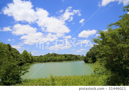 初夏公園 31446021