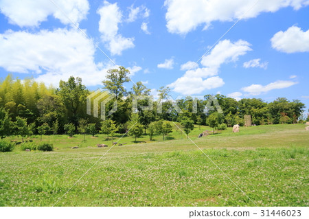 初夏公園 初夏公園 31446023