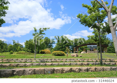 初夏公園 31446024