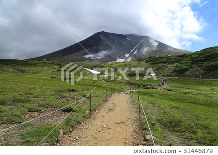 Walkway to Asahidake 31446879