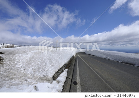 藏王迴聲線·雪走廊(宮城縣) 藏王迴聲線·雪走廊(宮城縣) 31446972