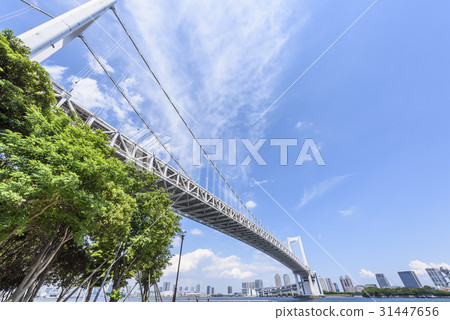 有藍天的彩虹橋 31447656