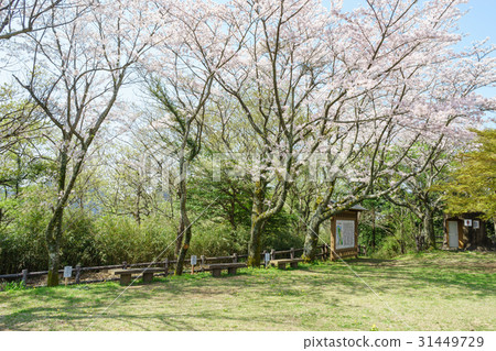 Honjosan Park 31449729