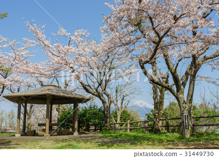 Honjosan Park 31449730