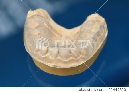 Dental prosthesis teeth mold, human gums model Dental prosthesis teeth mold, human gums model 31449820