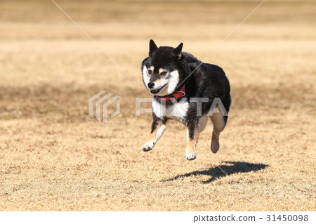 I Am Fine Stock Photo