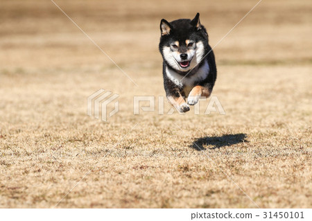 I Am Fine Stock Photo