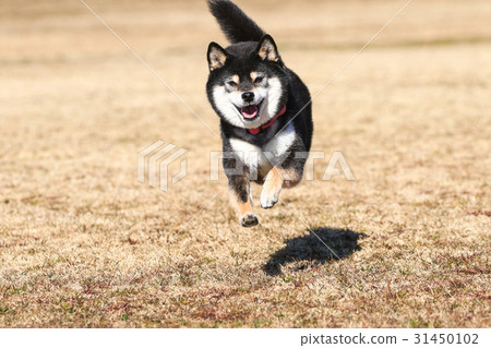 I Am Fine Stock Photo
