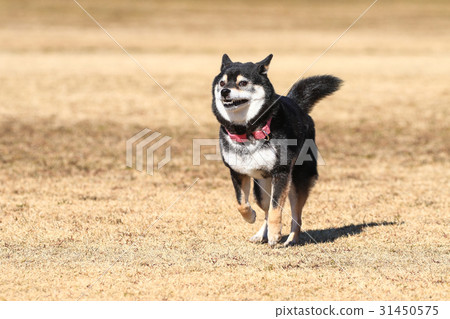 I Am Fine Stock Photo