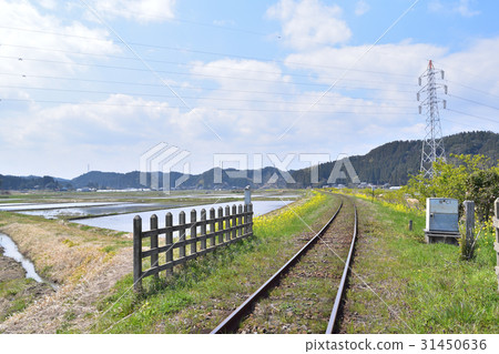 Rape flower blooming islem Spring landscape of railway track 31450636