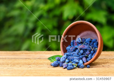 honeysuckle berries in bowl 31450907