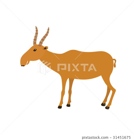 Funny Saiga Antelope 31451675