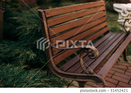 Stylish bench in summer park Stylish bench in summer park 31452421