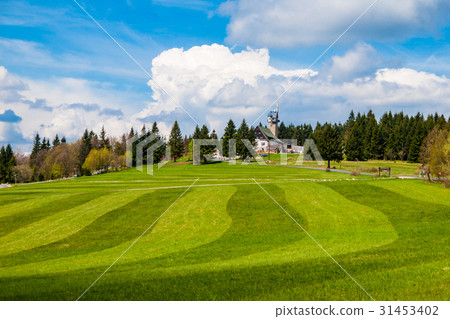 Freshly mowed meadow in Jizera Mountains near 31453402