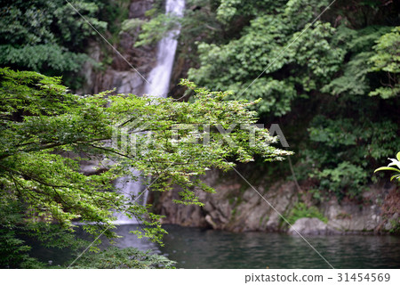 Waterfall and Kaori Obase Waterfall and Kaori Obase 31454569