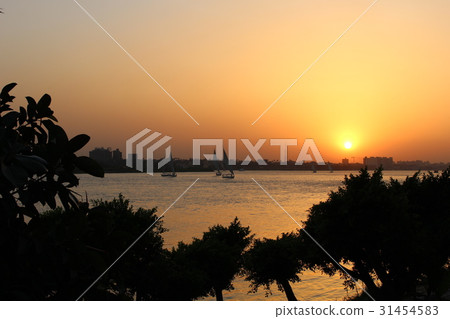 尼羅河的日落 31454583