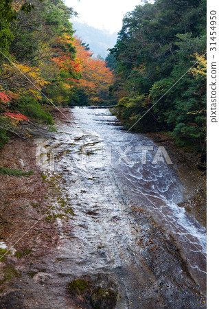 Autumn leaves and sliding valley snow ring waterfall (Ehime prefecture Matsuno cho) 31454950