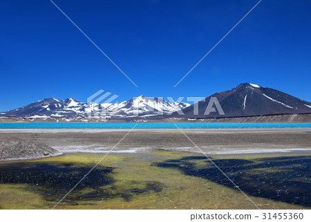 Beautiful Green Lagoon, Laguna Verde, near 31455360