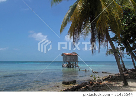 Cabins on stilts on the small island of Tobacco Cabins on stilts on the small island of Tobacco 31455544