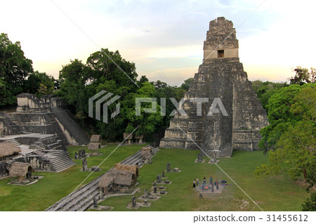 The mayan ruins Tikal Guatemala The mayan ruins Tikal Guatemala 31455612