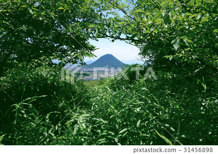 從常盤公園看到的讚岐富士伊藤山 從常盤公園看到的讚岐富士伊藤山 31456898