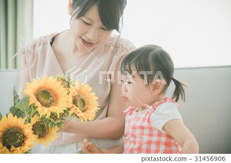 sunflower, sunflowers, person 31456906
