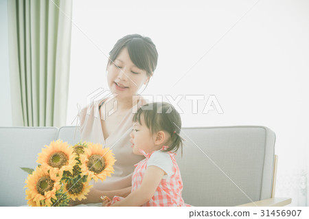 向日葵 母子 母女 31456907