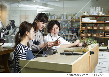 Chordal harmony 31457739