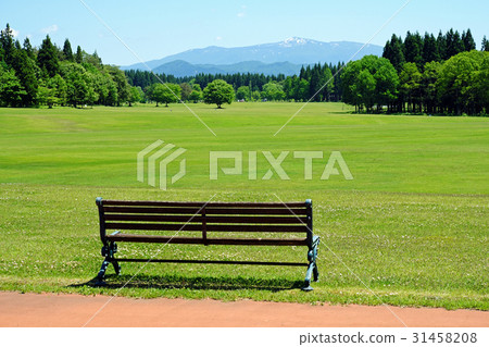Northern European forest park fresh green lawn open space 31458208