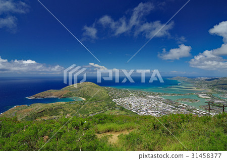 View from Hawaiian landscape coco head 31458377
