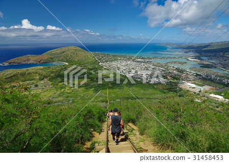 在夏威夷的風景從可可頭足蹟的看法 在夏威夷的風景從可可頭足蹟的看法 31458453