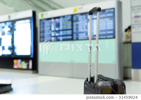 在機場的電子公告板指導前的樹幹 在機場的電子公告板指導前的樹幹 31459024