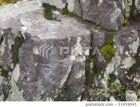 Beautiful stone with green moss in the park Beautiful stone with green moss in the park 31459045
