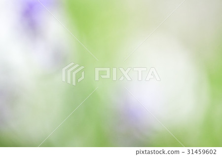 Abstract natural background 31459602