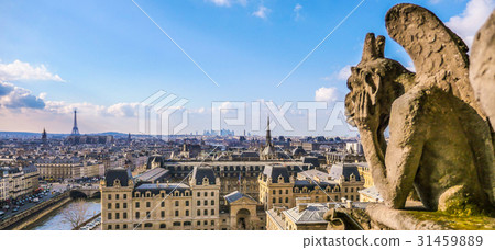 Gargoyle Paris France Notre Dame Cathedral 31459889