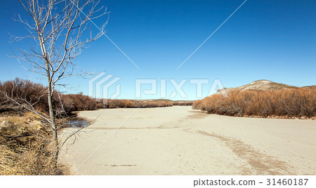 Dried Rio Grande in Texas USA 31460187