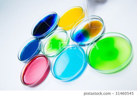 Pipetting coloured liquid into petri dishes Pipetting coloured liquid into petri dishes 31460545
