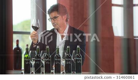 Portrait confidant vintner drinking red wine in winery Portrait confidant vintner drinking red wine in winery 31460861