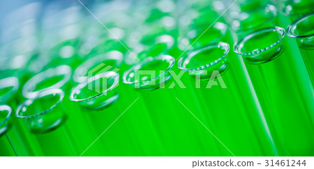 Laboratory,  green test tube 31461244