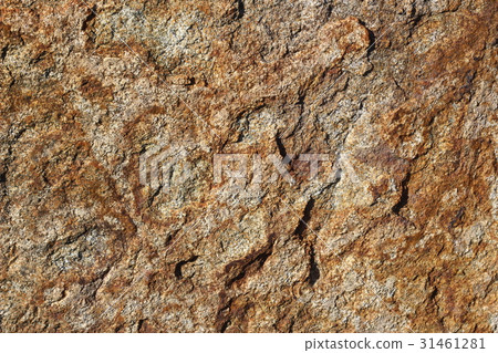 Rough rough skin Rough rough skin 31461281